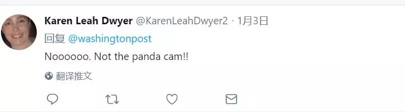 美国政府关门，“直播熊猫”画面被掐！美国网友炸锅：你们把我惹毛了