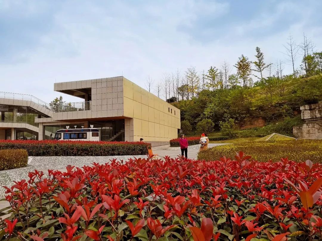 头条|城市颜值增不停!市城管局精细化管理9大亮点出奇效!