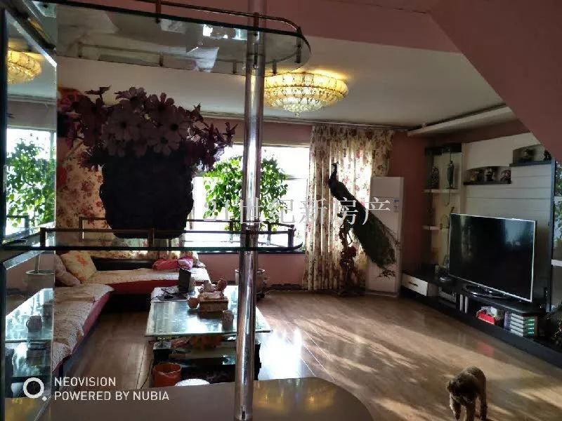 石河子欧美花园户型,石河子景河新城房子三室双卫户型