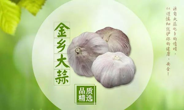 官方推荐年货!山东17市代表性农副特产都是啥?