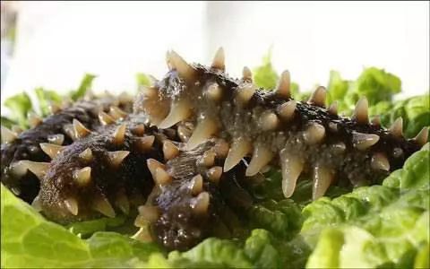 官方推荐年货!山东17市代表性农副特产都是啥?