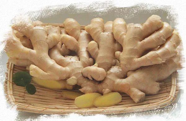 官方推荐年货!山东17市代表性农副特产都是啥?