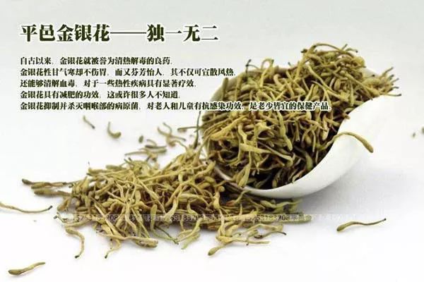 官方推荐年货!山东17市代表性农副特产都是啥?