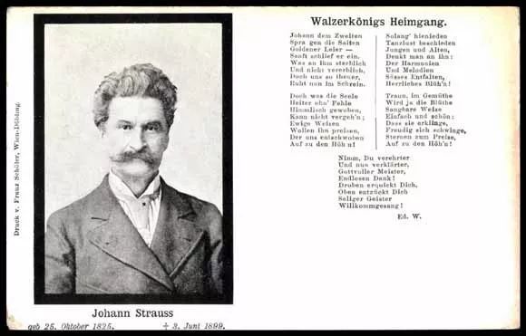 新年音乐会的乐器,施特劳斯圆舞曲新年音乐会