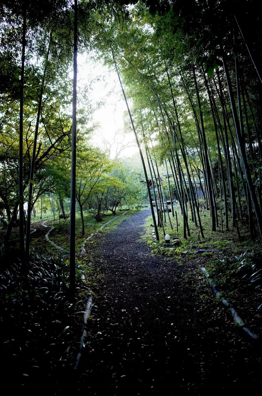 日本大分县旅游攻略,日本冬日3天攻略