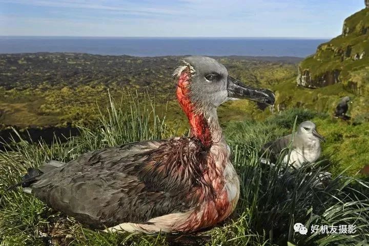 荷赛大奖作品,荷赛2022年获奖作品