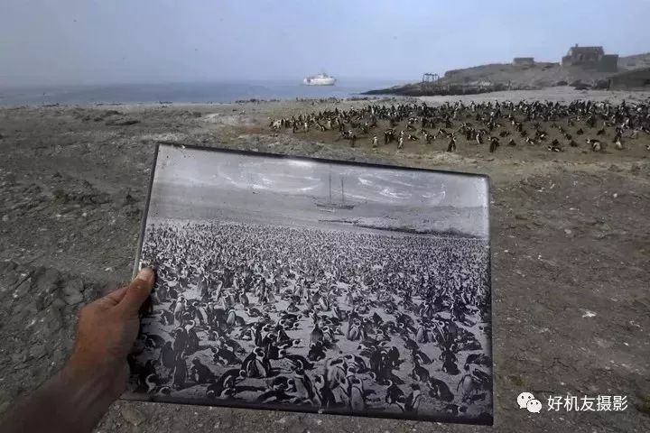 荷赛大奖作品,荷赛2022年获奖作品