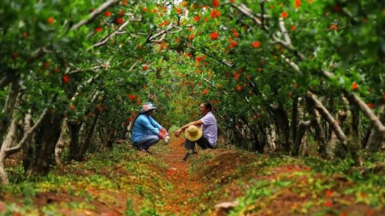夕阳下的会理古城,漫步古城静谧清晨