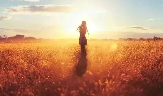 「秘籍」“三只手”,不但争“绩效”,还在写“年终总结”!附:桂林某“员工”刚做的一单……