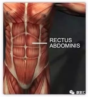 产后恢复腹直肌分离训练,产后康复腹直肌分离手法