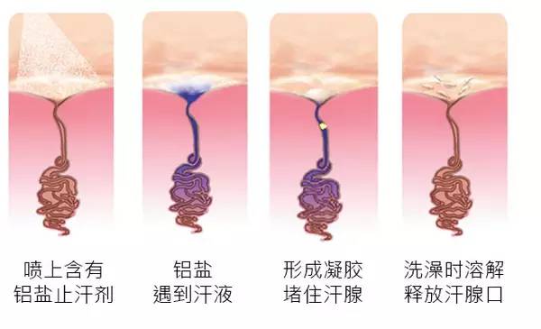 老娘没狐臭！就算有，也是正常！