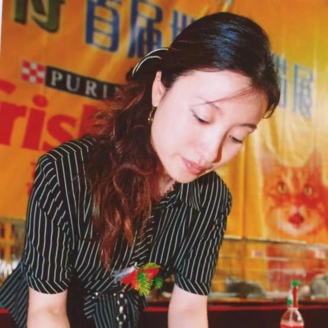 宠物行业新的机会,宠物行业新机会