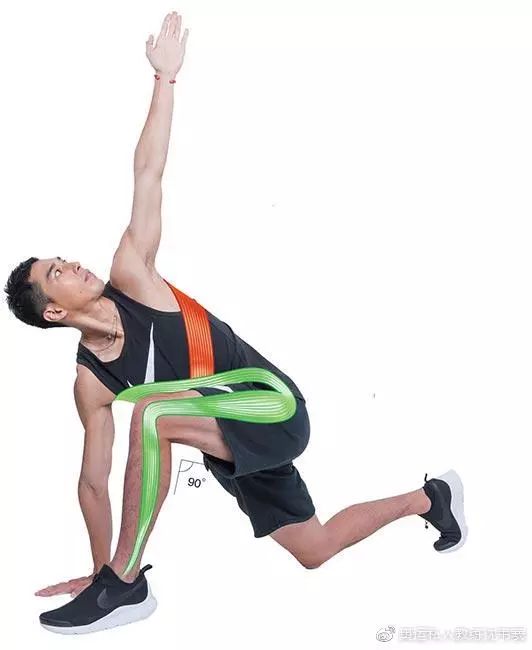 身体螺旋线,人体螺旋线的作用