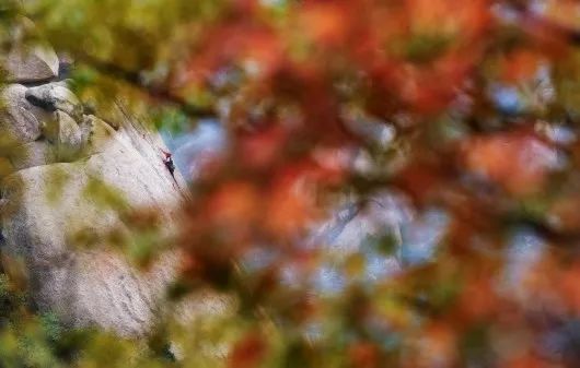 铭记体坛2014瞬间,2019世界体坛十大经典瞬间