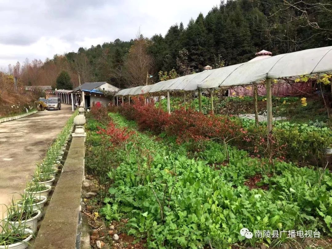 南陵民间故事,南陵历史故事