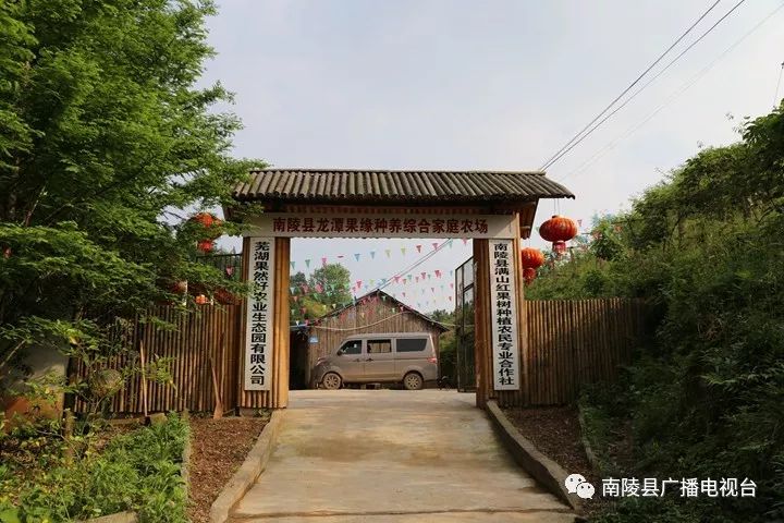 南陵民间故事,南陵历史故事