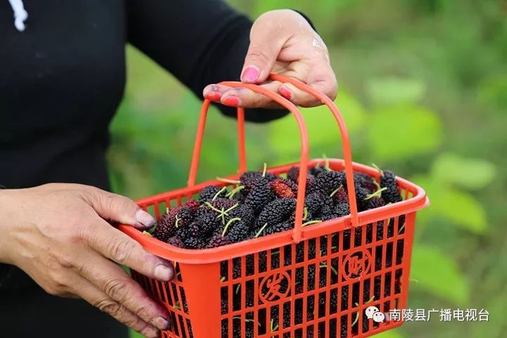 南陵民间故事,南陵历史故事