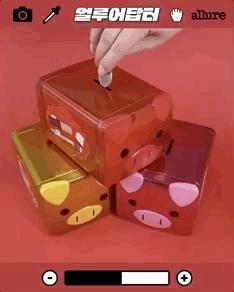 什么?全抢光了?所以杭州到底还能买到哪些猪年限定啊?!