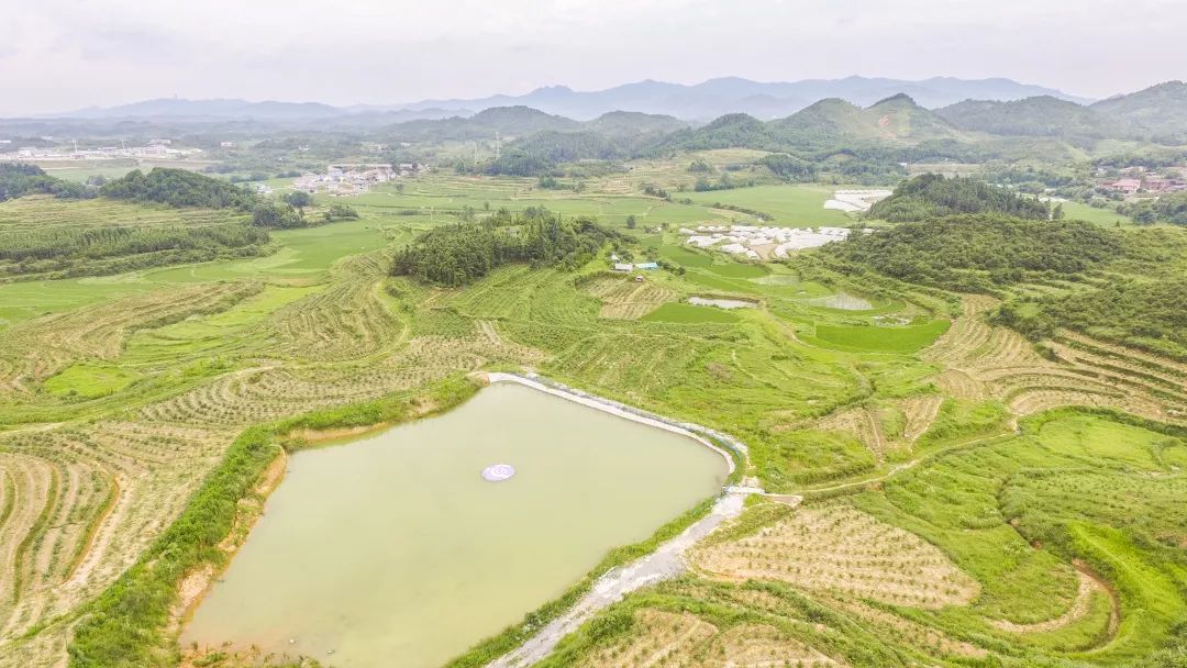 蓝莓精酿品鉴,蓝莓微醺水果啤酒