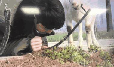 张艺兴弹琴喜剧之王,向往的生活张艺兴唱歌喜剧之王