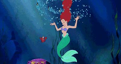 厦门翔安海洋馆门票价格,翔安澳头海洋馆