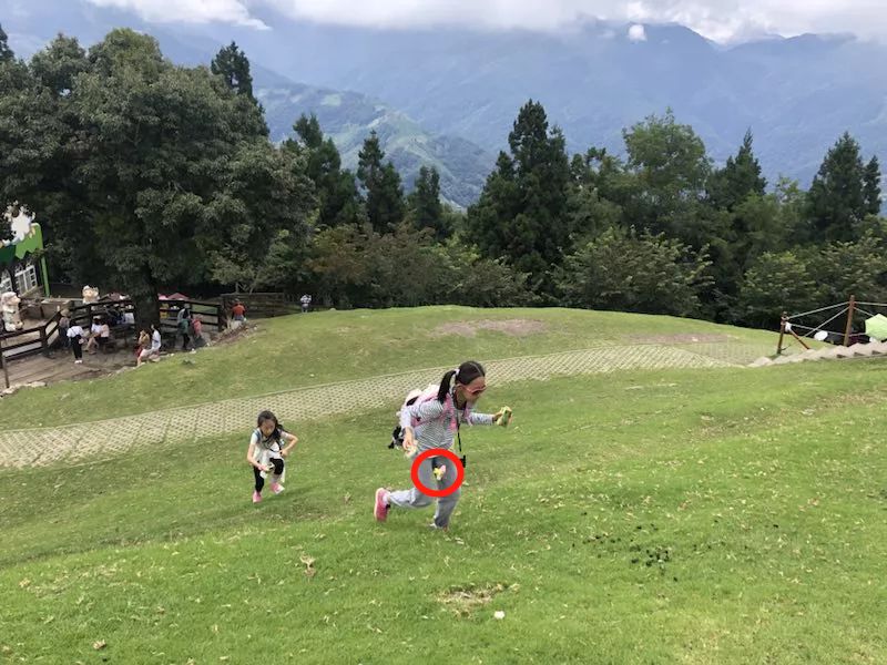 团|法国巨眼丛书,带孩子玩转科普+专为孩子设计的宝宝拍相机+用了会上瘾的日本内野毛巾+Dr.wild抛光去渍牙膏