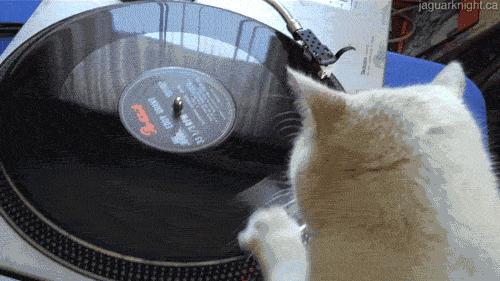 唱机都没有的他们，为什么拼命买黑胶唱片？