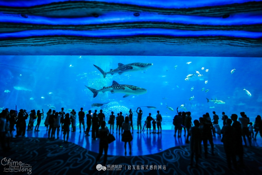 这家乐园位于内地，却吸引众多香港人和澳门人
