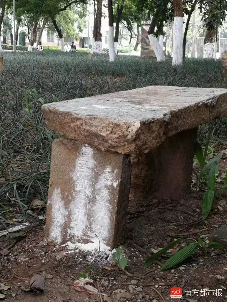 机智！中大老师坟头开课了！古墓附近还有惊人发现｜南都早餐