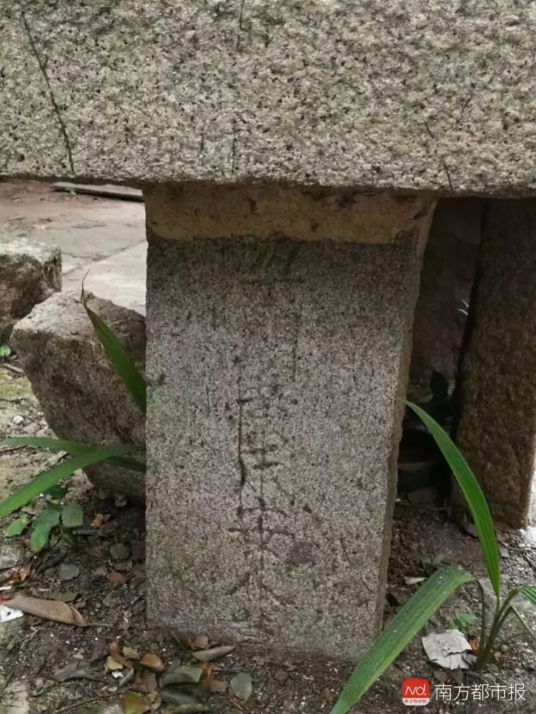 机智！中大老师坟头开课了！古墓附近还有惊人发现｜南都早餐