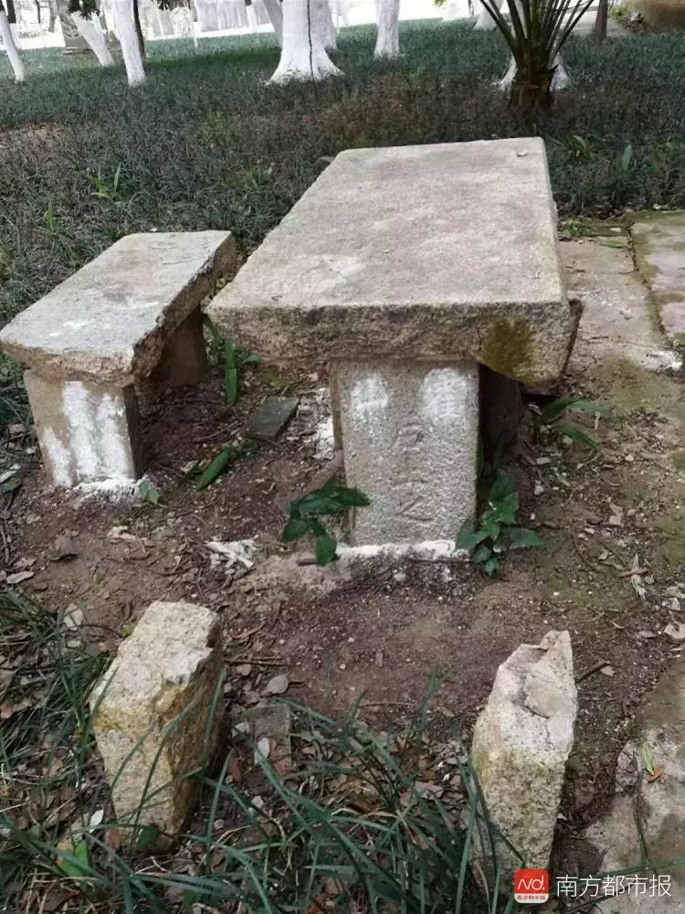 机智！中大老师坟头开课了！古墓附近还有惊人发现｜南都早餐