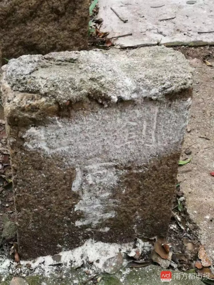 机智！中大老师坟头开课了！古墓附近还有惊人发现｜南都早餐