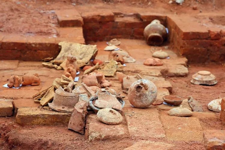 机智！中大老师坟头开课了！古墓附近还有惊人发现｜南都早餐