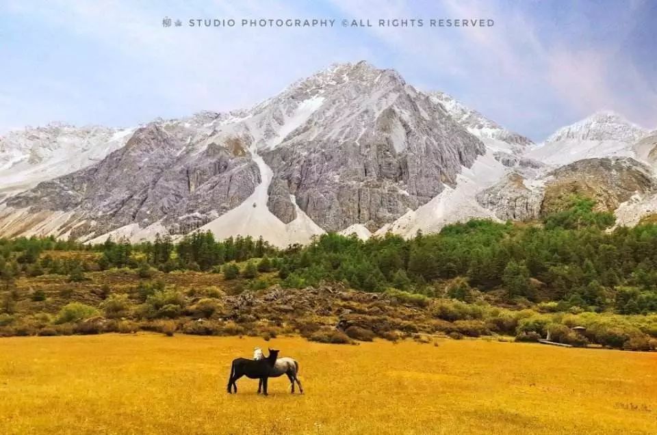 稻城最高的地方,最高级栖息地