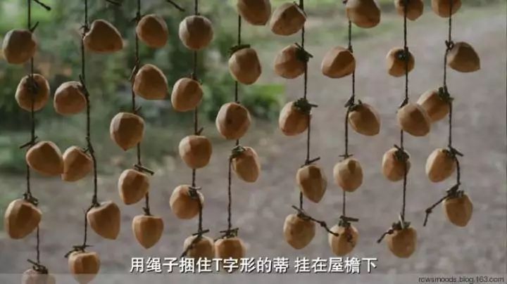 日本有一部关于美食的电影推荐,日本美食电影小森林