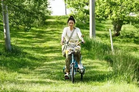 日本有一部关于美食的电影推荐,日本美食电影小森林