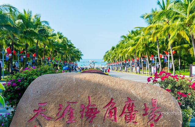 逃离阴冷的成都,到三亚享受这个冬天!