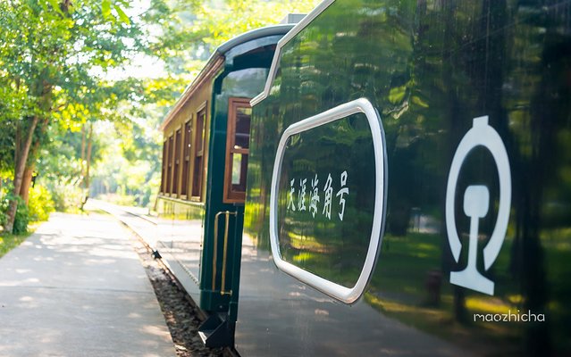 逃离阴冷的成都,到三亚享受这个冬天!