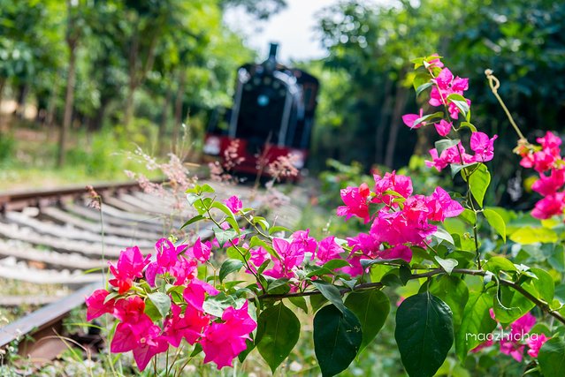 逃离阴冷的成都,到三亚享受这个冬天!