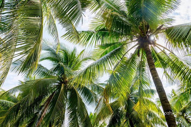 五天四晚三亚自驾,五天四晚三亚旅游路线