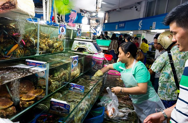 逃离阴冷的成都,到三亚享受这个冬天!