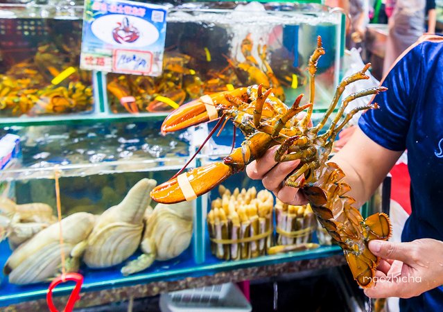 逃离阴冷的成都,到三亚享受这个冬天!