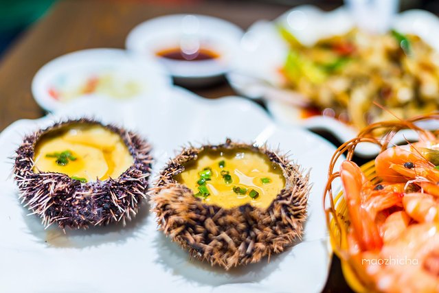 逃离阴冷的成都,到三亚享受这个冬天!