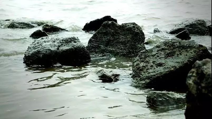 德国人做个锅都认真的可怕,德国人做锅都认真的可怕