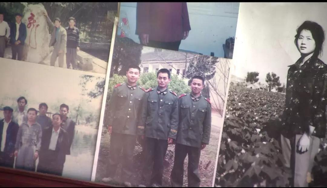 首阳山旅游度假区退役军人张文勇：秉承军人本色实干服务百姓