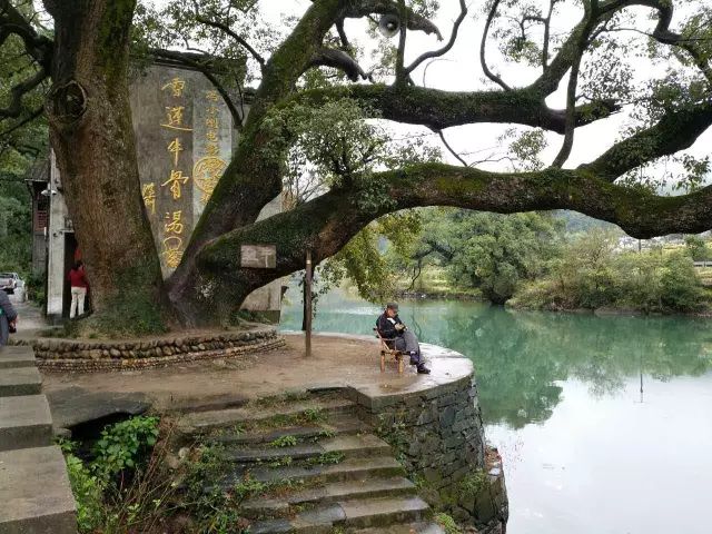 婺源旅游最好的民宿,婺源比较好的民宿推荐一下