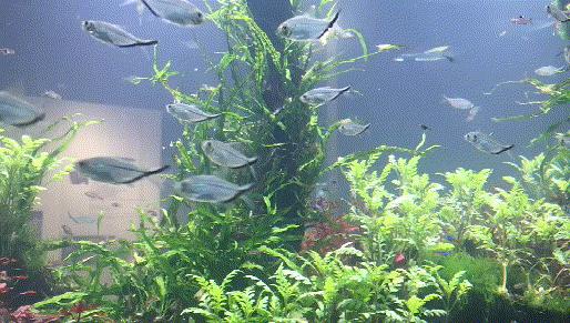 厦门翔安海洋馆门票价格,翔安澳头海洋馆