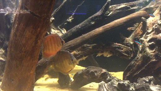 厦门翔安海洋馆门票价格,翔安澳头海洋馆