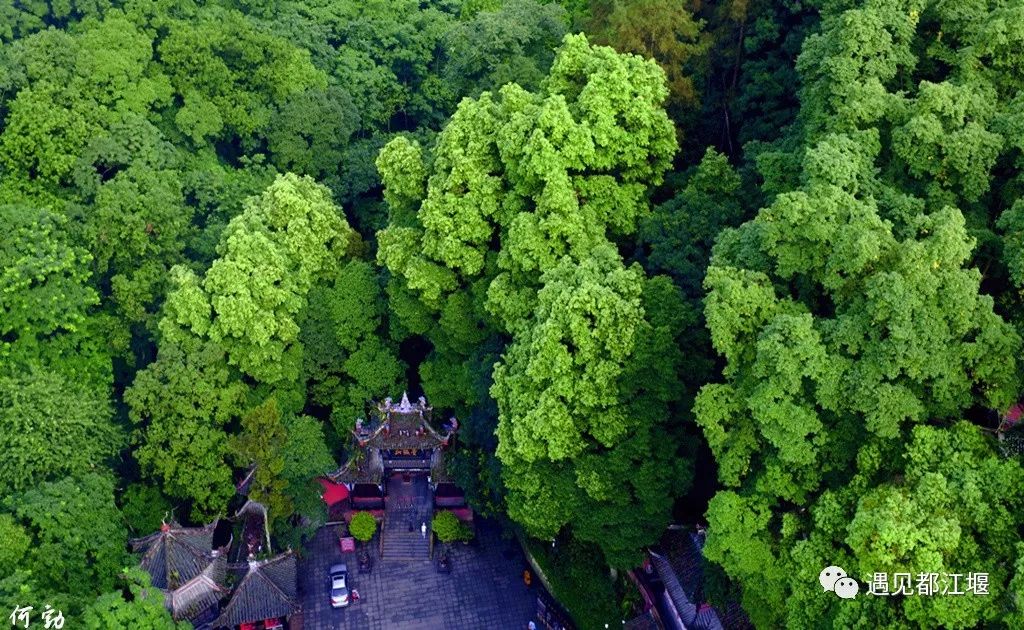 新中国成立70周年|都江堰那些年的那些事儿（2010-2019年）