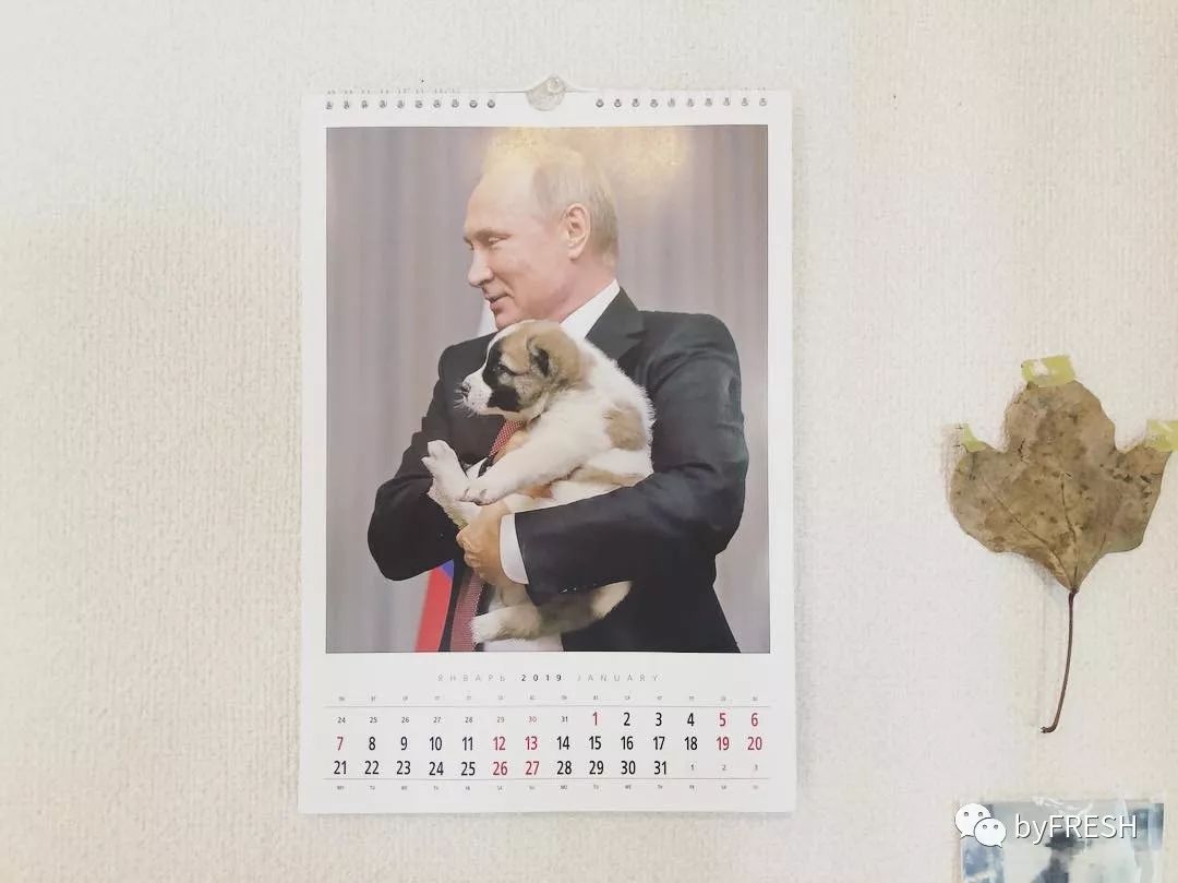 如果买大牌也分段位，那普京就是最强王者